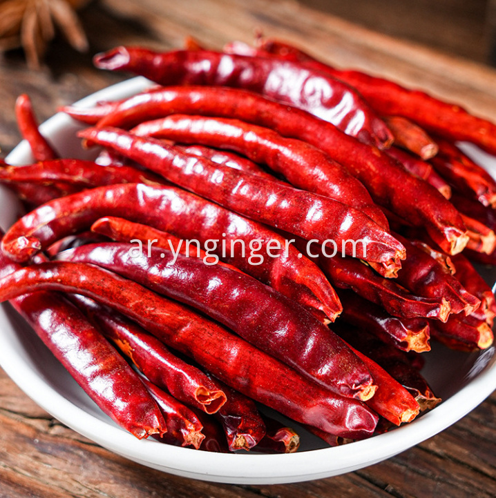 dried chili pepper 7